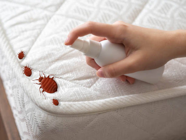 Real Estate Pest Inspections in Fremont, CA